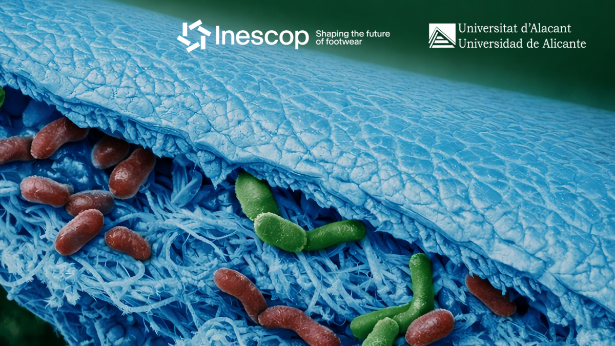 Defensa tesis doctoral - Microorganismos y comunidades microbianas en la biodegradaci&oacute;n del cuero curtido: aislamiento, caracterizaci&oacute;n y aplicaciones biotecnol&oacute;gicas
