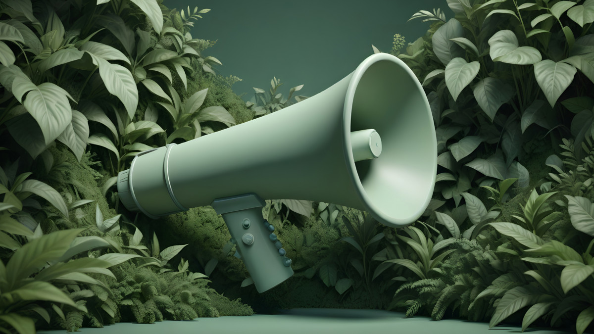 Greenwashing, Marketing y Ecoetiquetas Greenwashing, Marketing y Ecoetiquetas