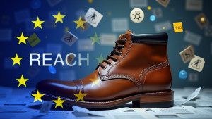 Reglamento REACH en el sector del calzado (Edición online 2025)